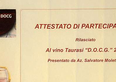 Taurasi preview: certificate of participation in Taurasi DOCG “Vigna Cinque Querce” 2000