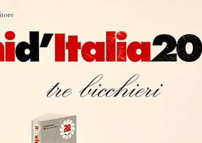 Wines of Italy Gambero Rosso Slow Food Publisher: 3 Glasses in Taurasi Riserva DOCG “Vigna Cinque Querce” 2001