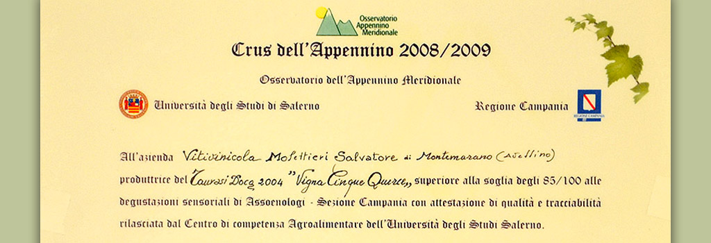Tastings at Crus dell'Appennino 2008/2009: 85/100 in Taurasi DOCG 