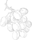slide_layer.png